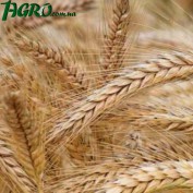 1agro.com.ua