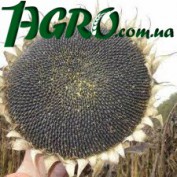 1agro.com.ua