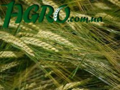 1agro.com.ua