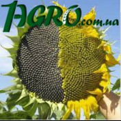 1agro.com.ua