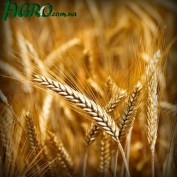 1agro.com.ua