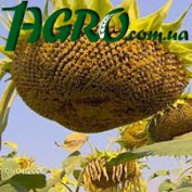 1agro.com.ua