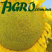 1agro.com.ua