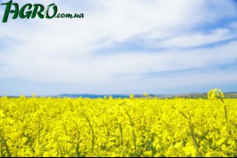 1agro.com.ua