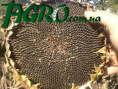 1agro.com.ua