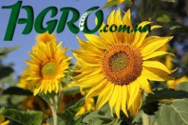 1agro.com.ua