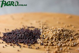 1agro.com.ua
