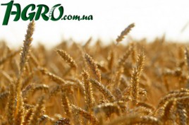 1agro.com.ua