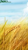 1agro.com.ua