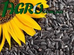 1agro.com.ua