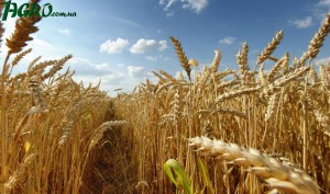 1agro.com.ua