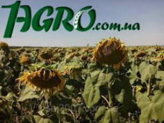 1agro.com.ua