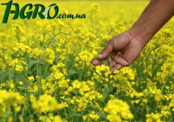1agro.com.ua