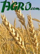 1agro.com.ua