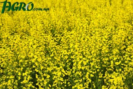 1agro.com.ua