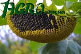 1agro.com.ua