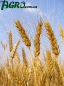 1agro.com.ua