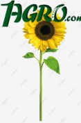 1agro.com.ua