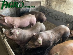1agro.com.ua