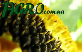 1agro.com.ua