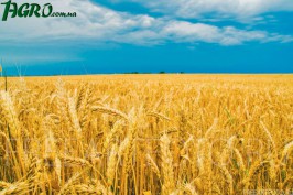 1agro.com.ua