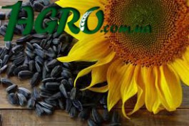 1agro.com.ua