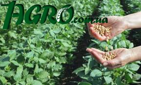 1agro.com.ua