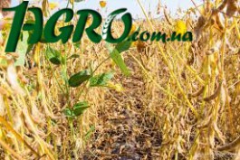 1agro.com.ua