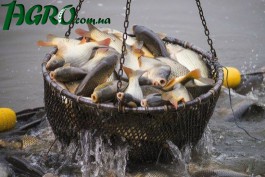 1agro.com.ua