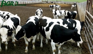 1agro.com.ua