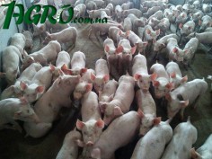 1agro.com.ua