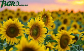 1agro.com.ua