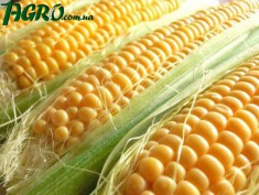 1agro.com.ua