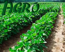 1agro.com.ua