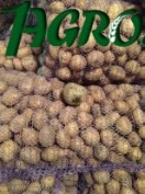 1agro.com.ua