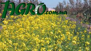1agro.com.ua