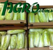 1agro.com.ua
