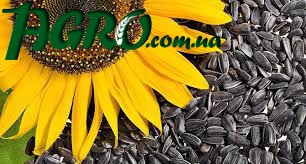 1agro.com.ua