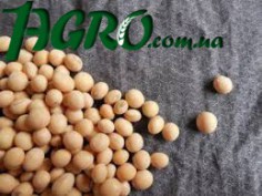 1agro.com.ua
