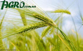 1agro.com.ua