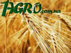 1agro.com.ua
