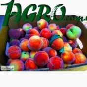 1agro.com.ua