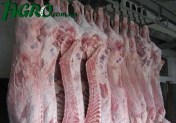1agro.com.ua