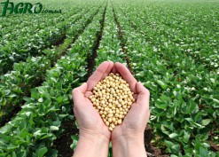 1agro.com.ua