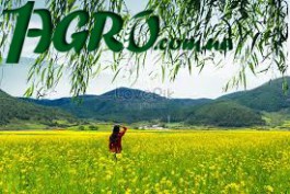 1agro.com.ua