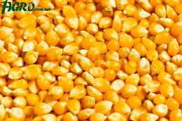 1agro.com.ua