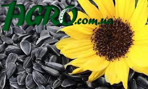 1agro.com.ua