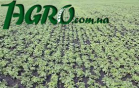 1agro.com.ua