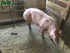 1agro.com.ua