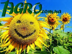 1agro.com.ua